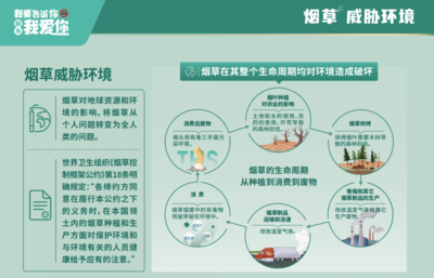烟草产业链的隐性碳足迹 一个不容忽视的气候挑战
